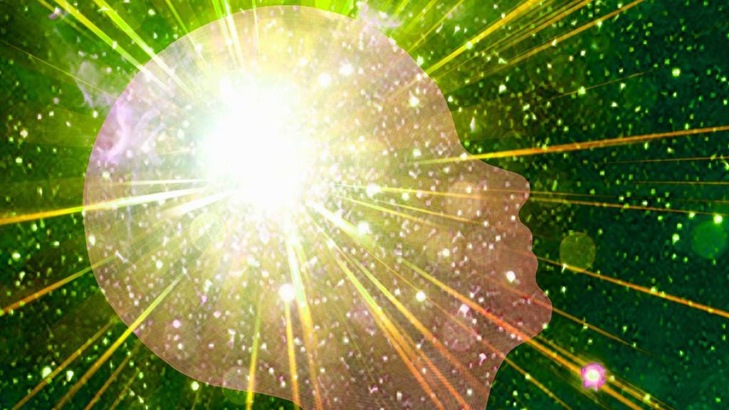 brain