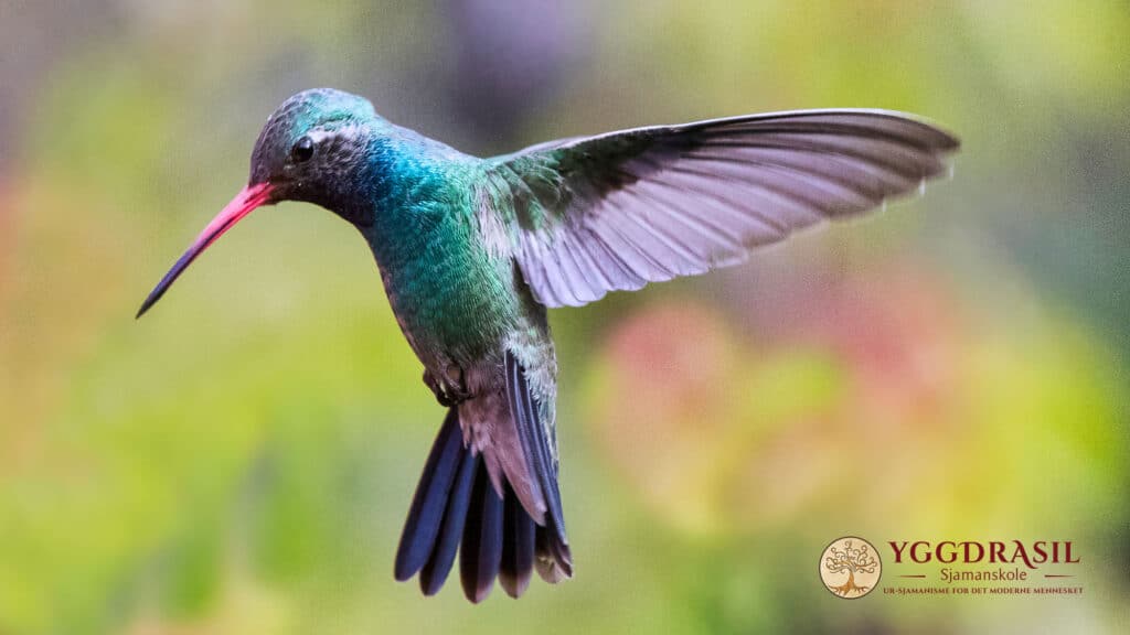 Vår sjels Episke Reise